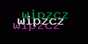 Visual Verification